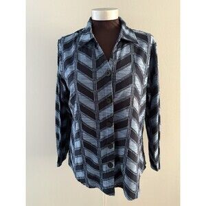 Parsley and Sage Top Womens Size L Blue Striped Patchwork Button Front 70s vibe